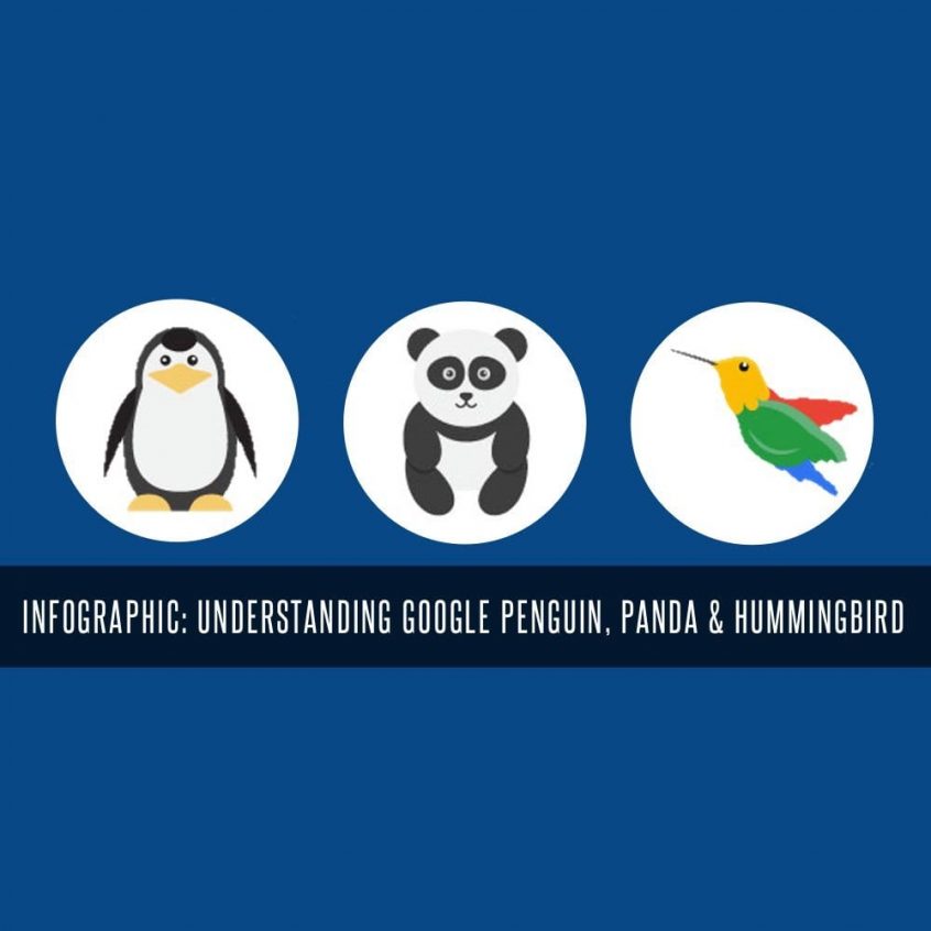 WHAT IS GOOGLE PANDA PENGUIN AND HUMMINGBIRD 1
