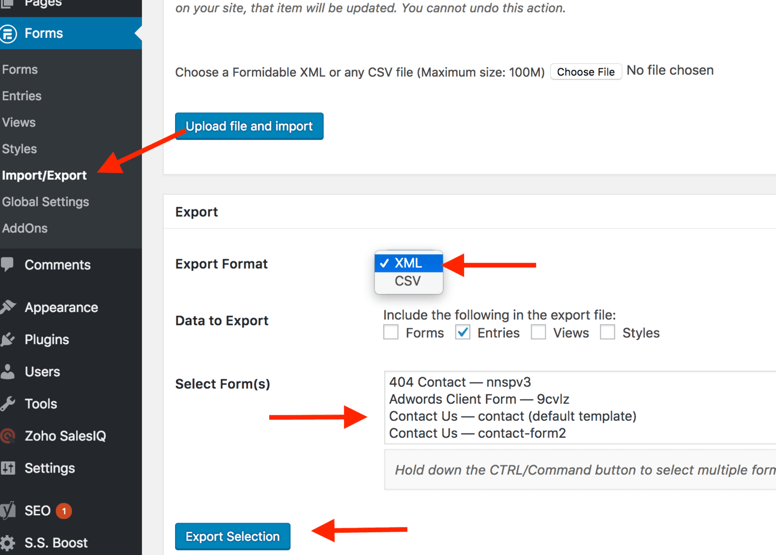 export entries from formidable