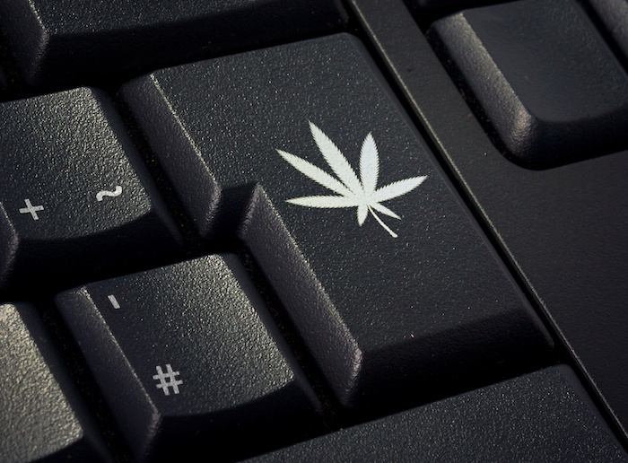 SEO cannabis