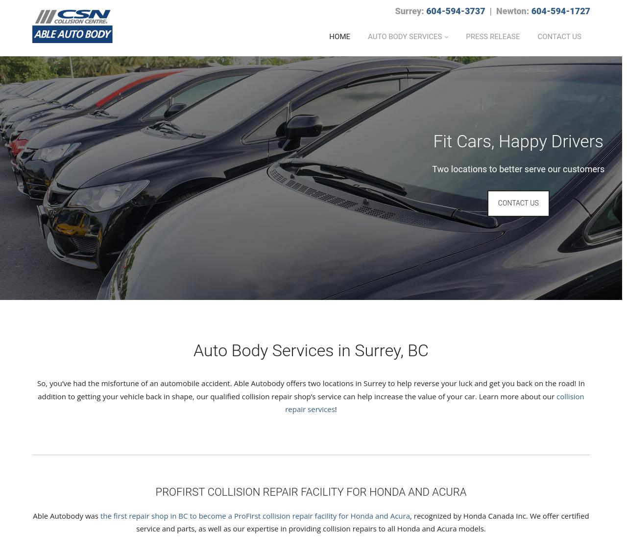Service Website Design for Surrey